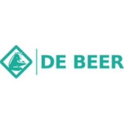 De Beer  schroefset 6x70 verzinkt verzinkt Verzinkt 203160001